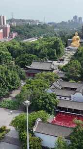 竖屏航拍重庆华岩旅游风景区华岩寺