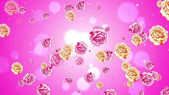 粉色玫瑰花粒子动态背景