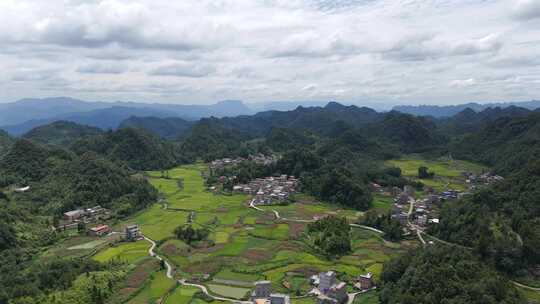 农村夏季绿色秧田航拍 稻田航拍大景