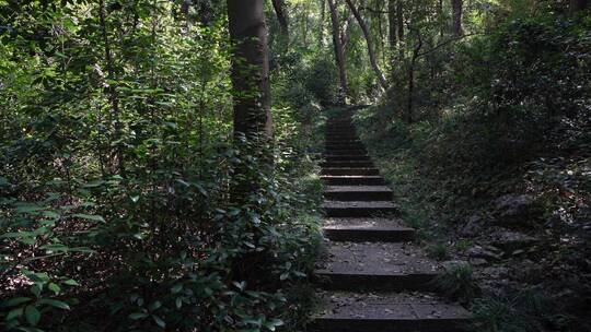 杭州玉皇山景区北观音洞