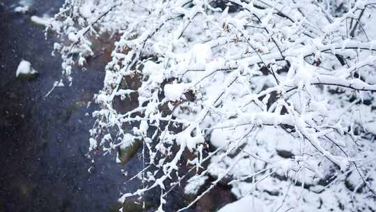 冬天雪景树林雾凇