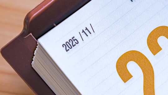 2025蛇年日历翻页春节元旦除夕