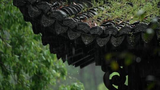 杭州 风景 古风 下雨天 亭子 飞檐视频素材模板下载