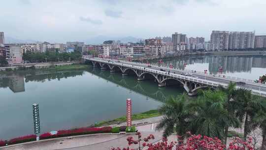 中国广东省广州市从化区街口木棉花视频素材模板下载