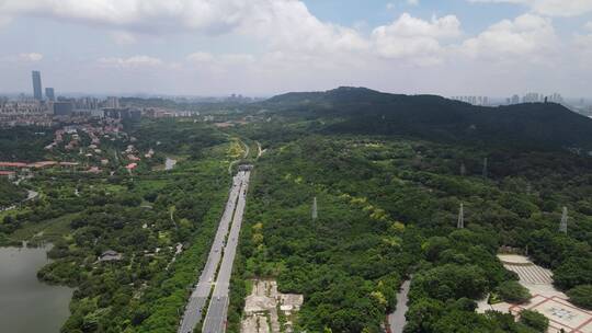 广西南宁城市地标建筑航拍视频素材模板下载