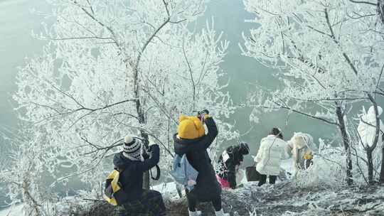 游客树怪冰雪雾凇拍照旅拍打卡小土豆小金豆