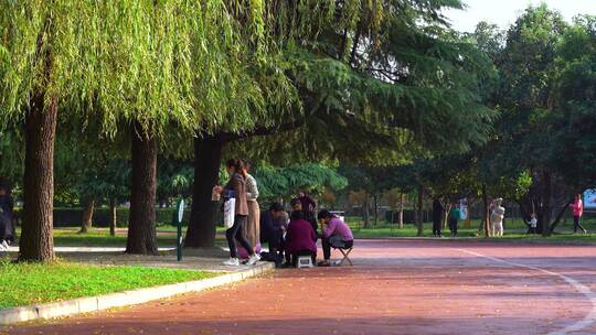 公园人民悠闲幸福生活散步下棋逛公园