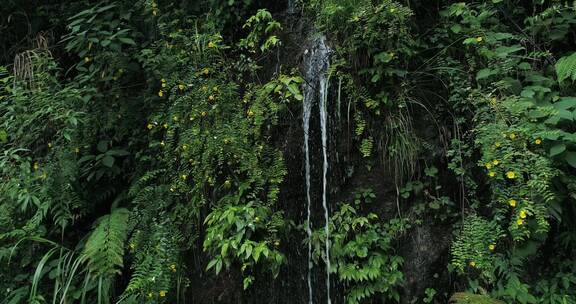 山间泉水