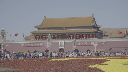 天安门红旗飘扬 国庆 祝福祖国