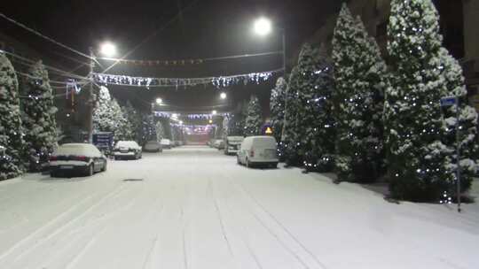 白雪覆盖的道路和挂着圣诞灯的树木