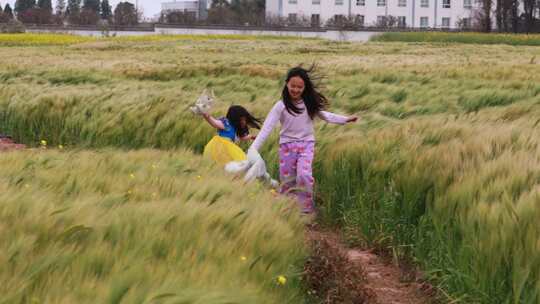 小女孩麦田中奔跑