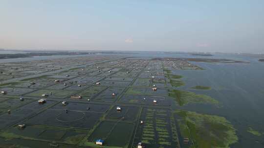 苏州阳澄湖大闸蟹养殖基地航拍