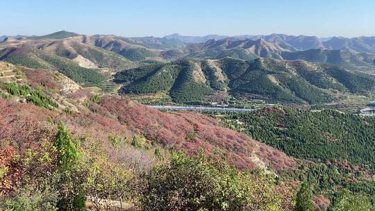 济南蚰蜒山红叶满山，秋天山脉景色