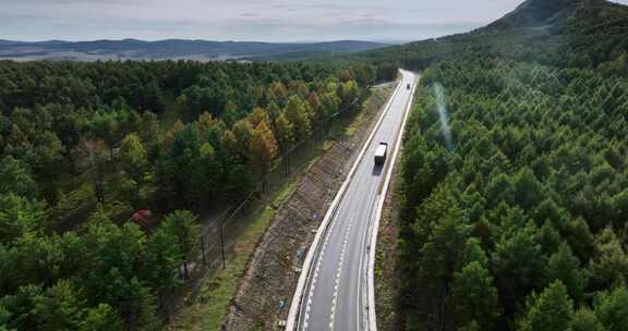 穿过森林的道路俯瞰航拍