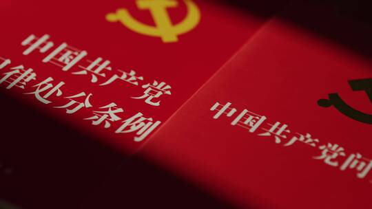 纪律处分问责条例