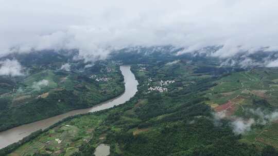 航拍广西绿色水果金桔种植基地