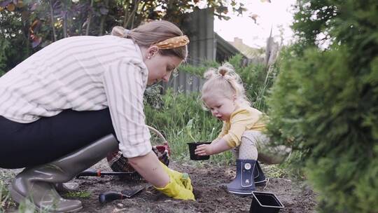 挖泥土种植物的母女