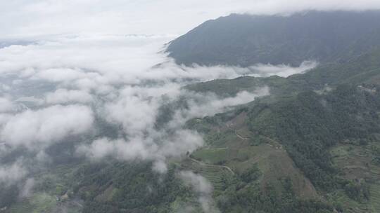 高清4K云海航拍山区森林风光风景素材空镜