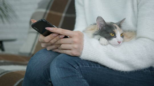 抱着猫看手机的女人