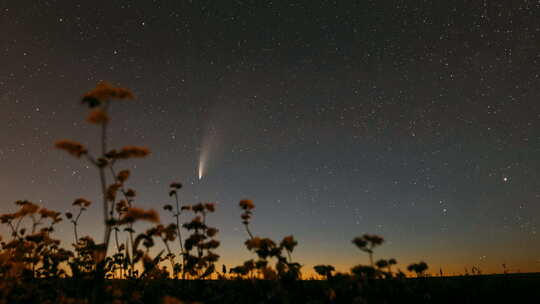 彗星Neowise C 2020 F3在