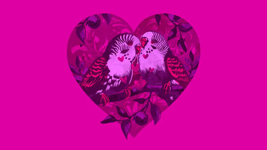 爱情鸟在心脏叠加