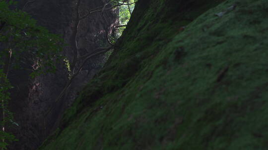 园林建筑风景 杭州西湖 宝石山 保俶塔