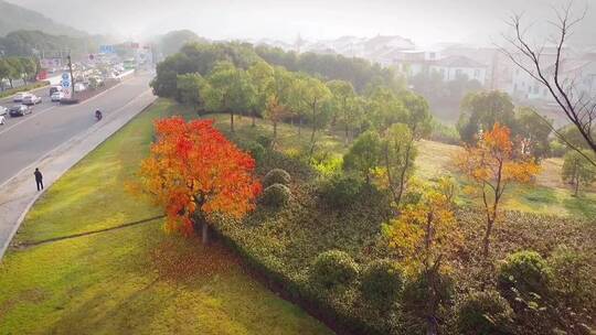 治愈风景，一定能解压，旅行，治愈系风景