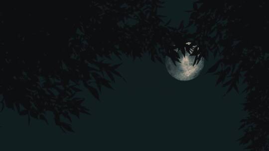 夜晚树叶前景后天空中乌云在月亮前飘过