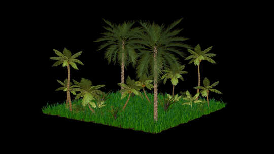 棕榈树和草的自然场景，Alpha通道，循