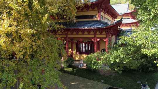 秋日的芜湖浮山寺古银杏风光