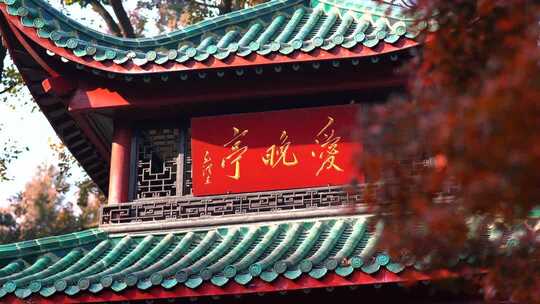 长沙爱晚亭秋景红枫