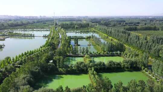 新疆阿克苏国家湿地公园