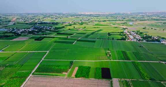 陕西关中平原麦田