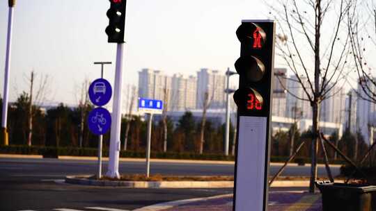 行人信号灯  指示牌  道路  城市