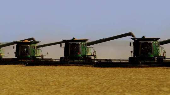 机械化收小麦 小麦成熟