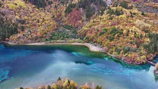 航拍九寨沟秋天五花海彩林最美水景秋景