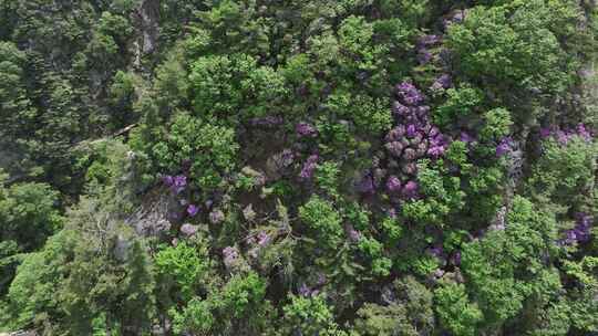 河南伏牛山山脉平顶山尧山层峦叠嶂的山峰