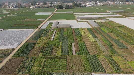 冬季乡村蔬菜基地