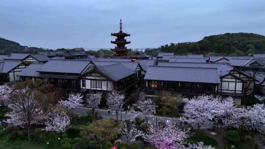 无锡 拈花湾 禅意小镇 夜景樱花 合集