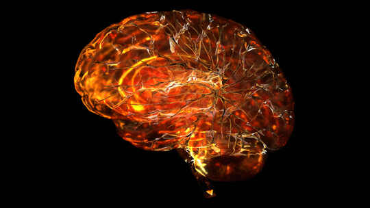 人体大脑开发医学动画