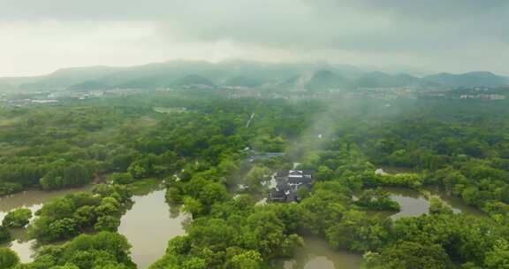 杭州西溪湿地夏天云雾风光