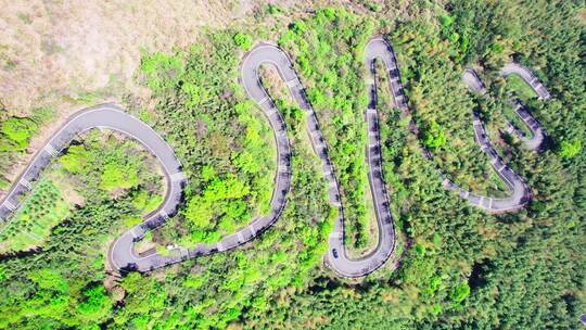 中国萧山寺坞岭乡村竹海中弯曲的盘山公路