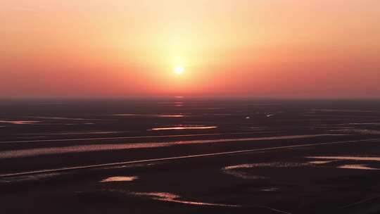 黄河入海口湿地