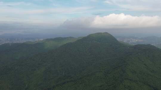 深圳阳台山森林国家公园