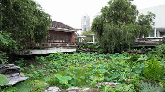 广东岭南美术馆景区航拍