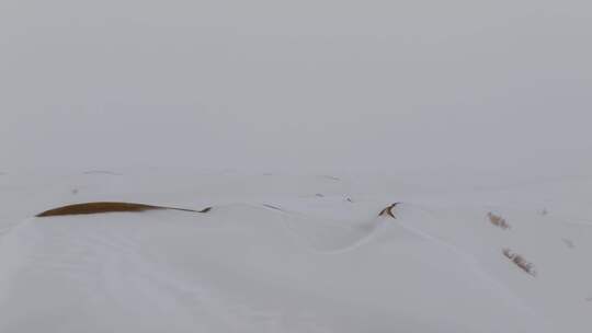 【4K画质】沙漠雪景航拍素材