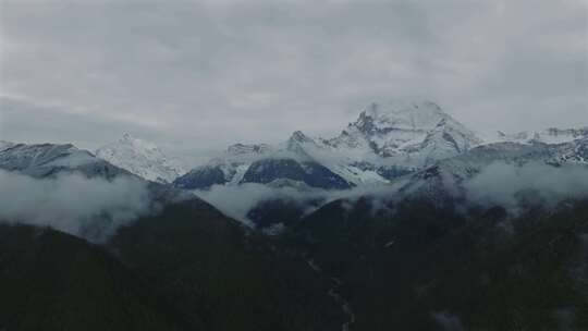 森林雪山 雪山云海 稻城亚丁雪山航拍