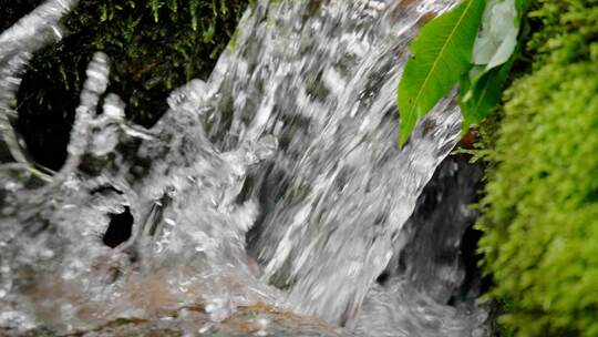 森林 雨景 溪流