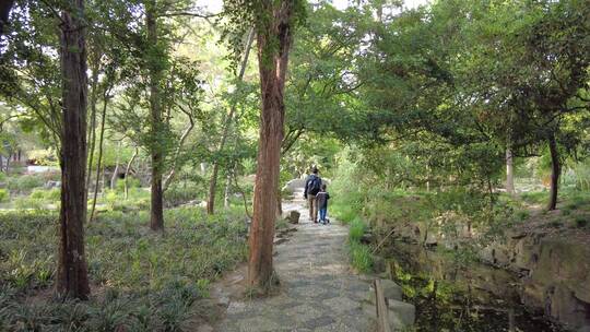 上海古猗园景区4K实拍原素材