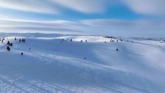 唯美雪景 呼伦贝尔大雪原